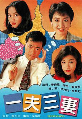 一夫三妻粤语 第06集