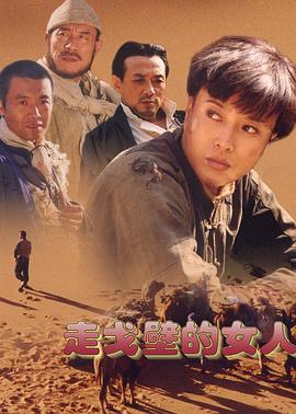 走戈壁的女人 第19集