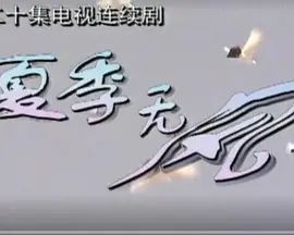 夏季无风 第8集