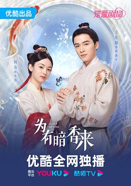 为有暗香来 第27集