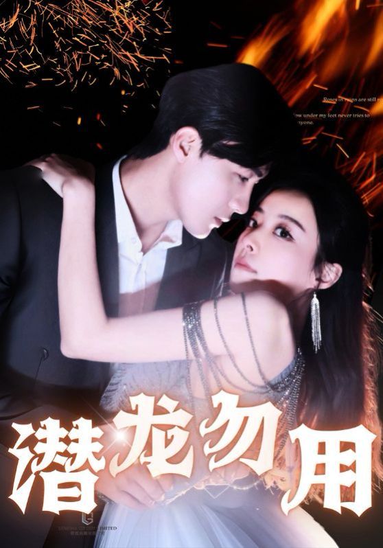 潜龙勿用 第21-40集
