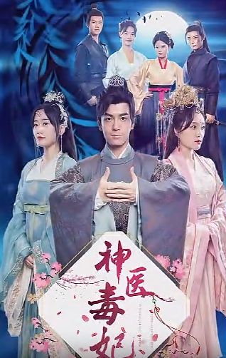神医毒妃 第61-80集