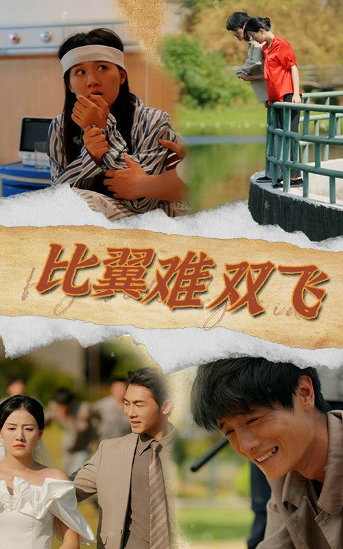 比翼难双飞 第14集