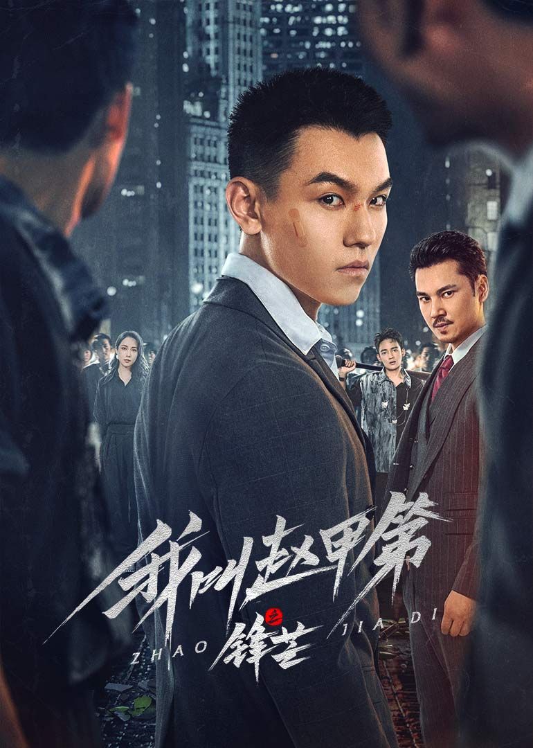 我叫赵甲第之锋芒(全集)