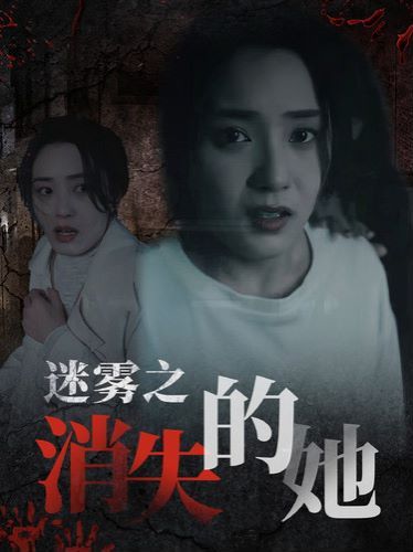 迷雾之消失的她 第21-40集