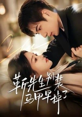 靳先生别装马甲早掉了(全集)