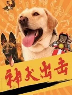 神犬出击(全集)