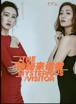神秘来访者(全集)