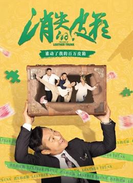 消失的皮箱(全集)