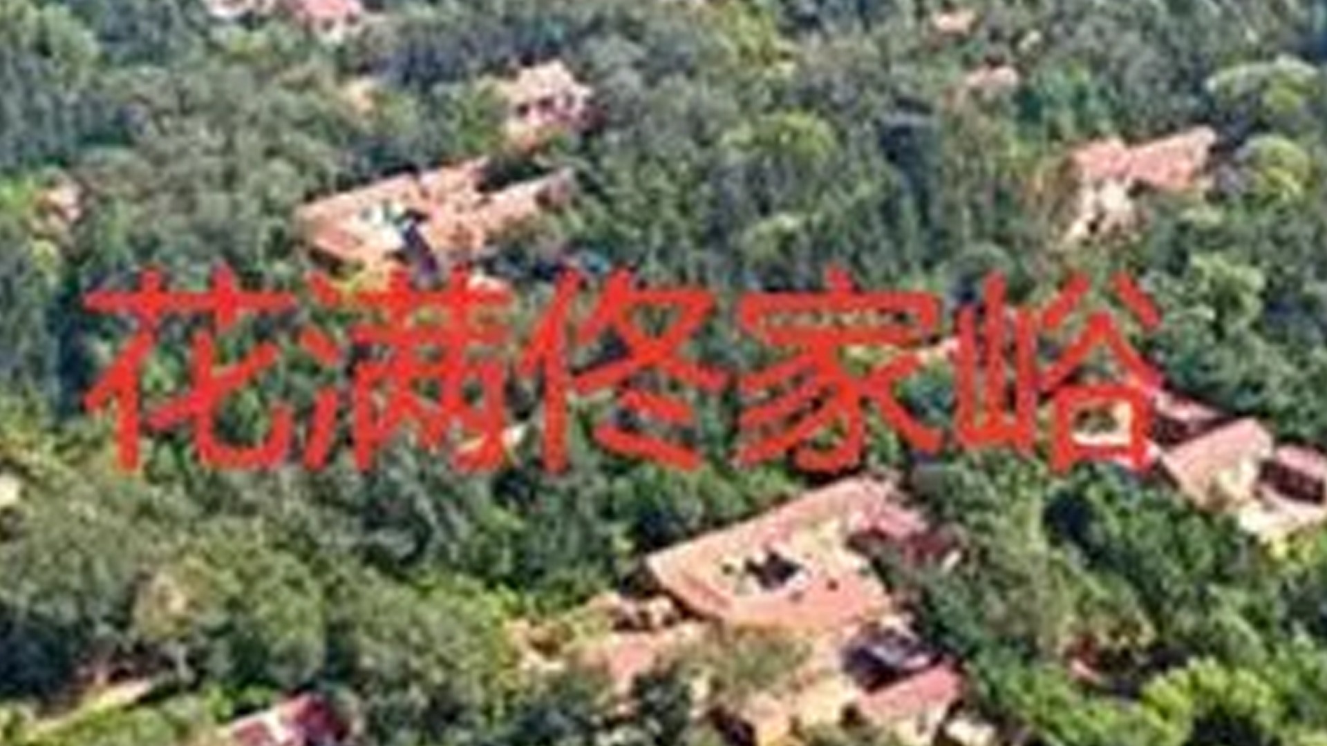 花满佟家峪(全集)