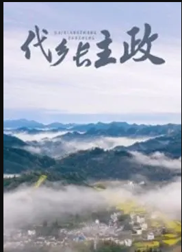 代乡长主政(全集)