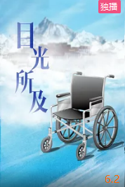 目光所及(全集)