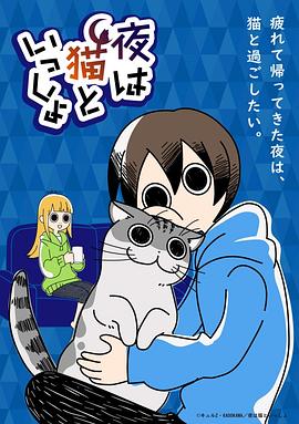 关于养猫我一直是新手 第13集