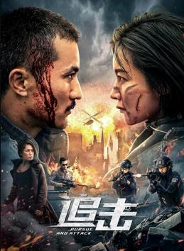 追击(全集)