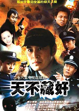 天不藏奸 第19集