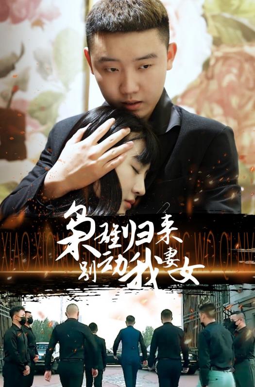 枭雄归来别动我妻女 第30集