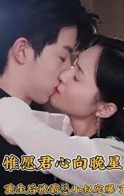 惟愿君心向晚星 第12集