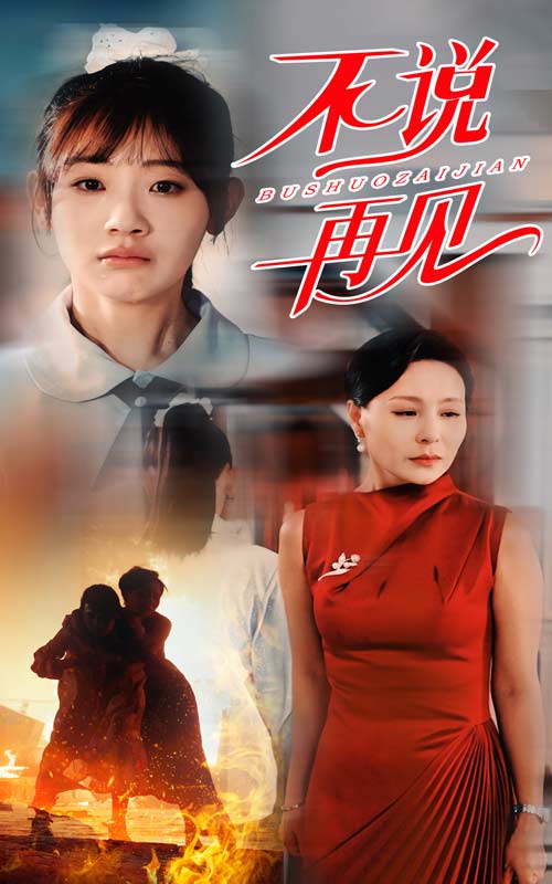 不说再见短剧 第22集